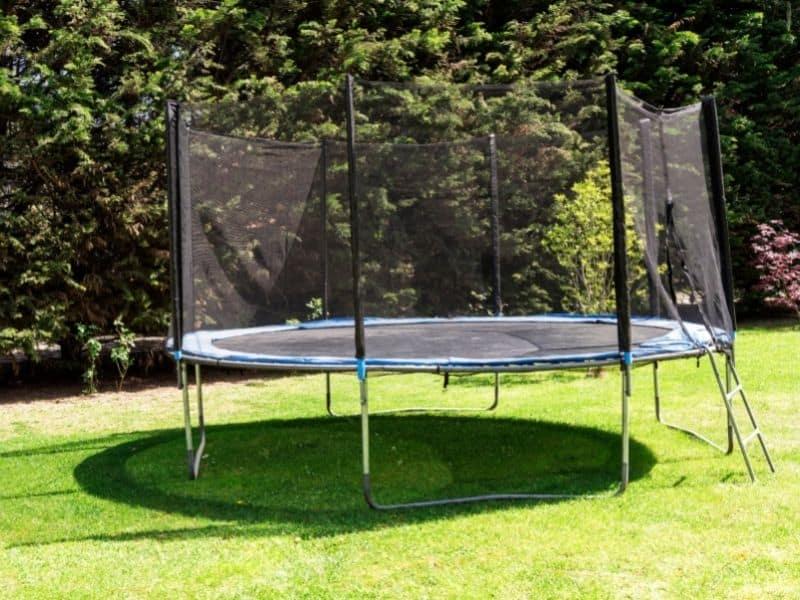 Do Trampolines Kill Grass